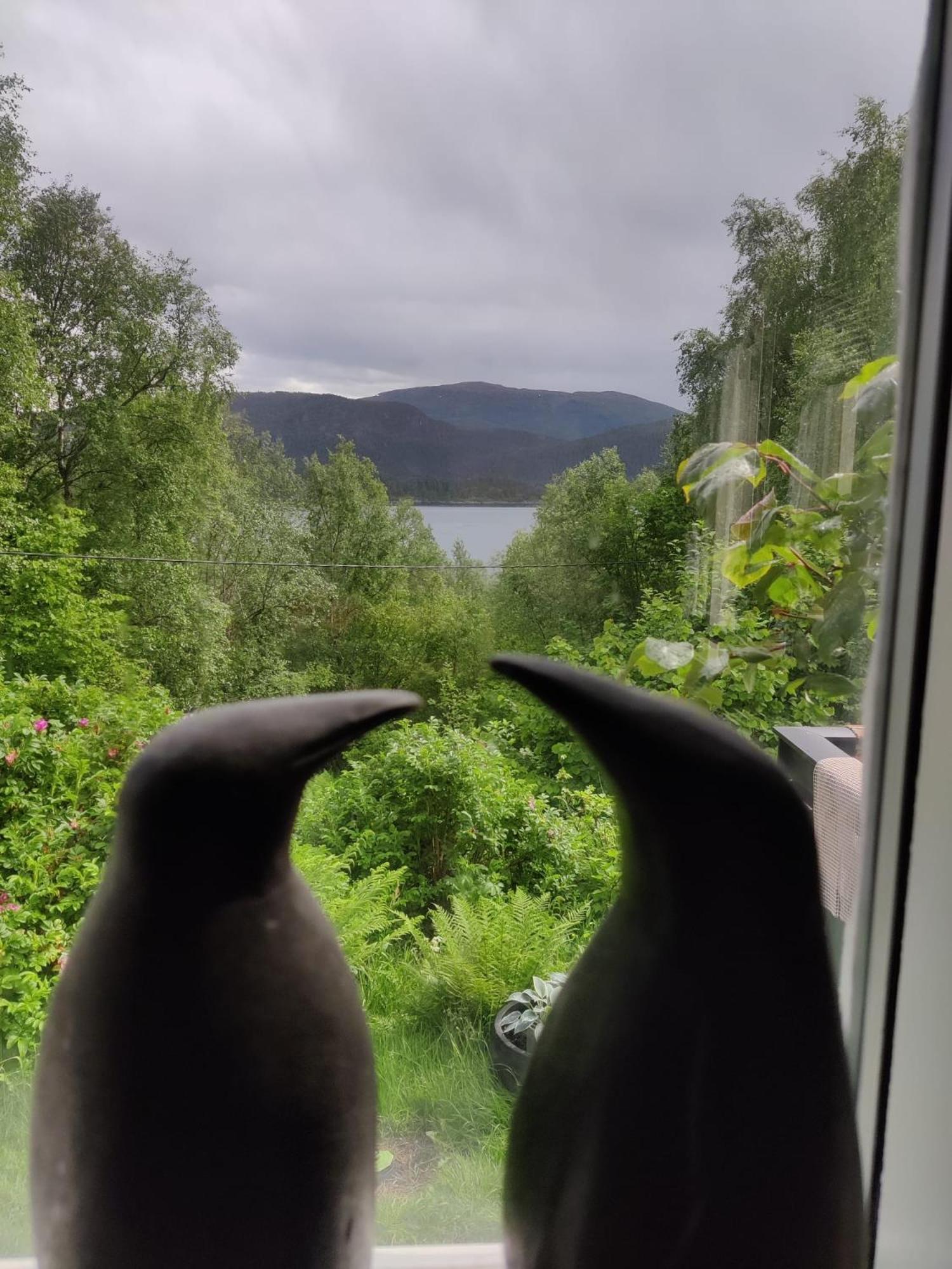 Fjord Peace Villa Skodje ภายนอก รูปภาพ